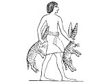 Hares, carried by an Egyptian